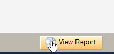 View Report button